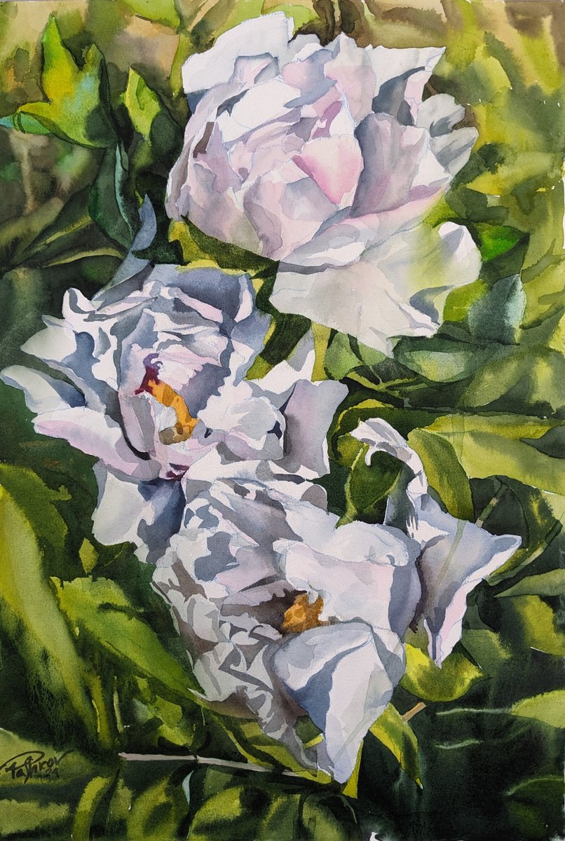 WHITE PEONIES #9 by Yurii Pashkov