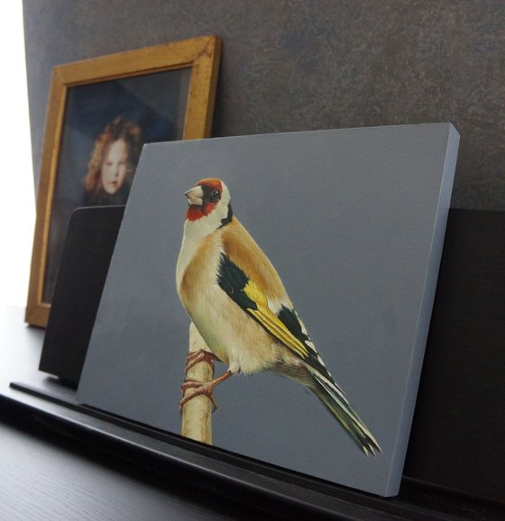 Goldfinch 2