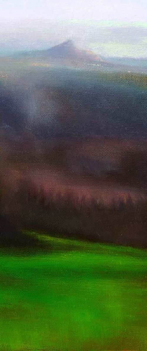 Autumn Mist on the Sugar Loaf by John O'Grady