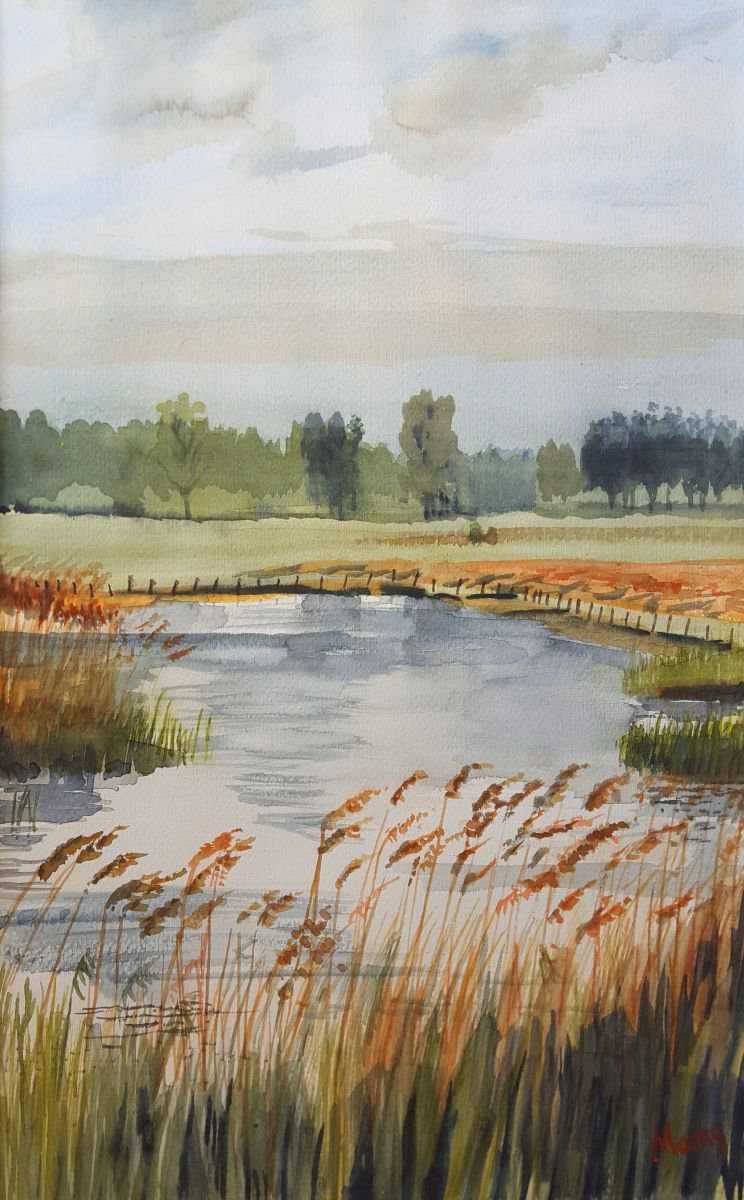 By the River, Zeeland by Morag Paul