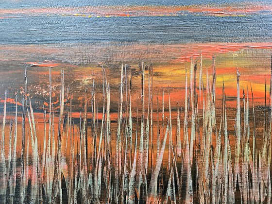 Marshland Solace