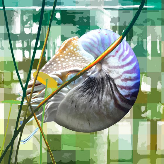 NAUTILUS | ORIGINAL DIGITAL PAINTING GICLÉE ON CANVAS, EDITION OF 7 PIECES