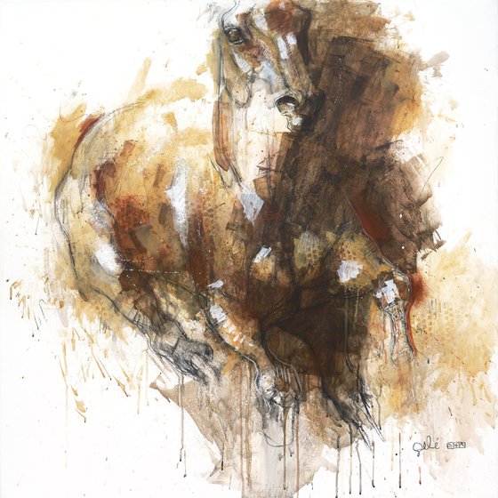 Equine Nude 147t