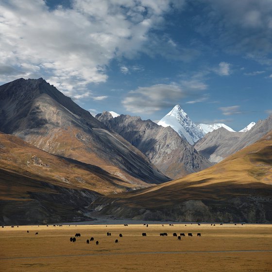 Tibet