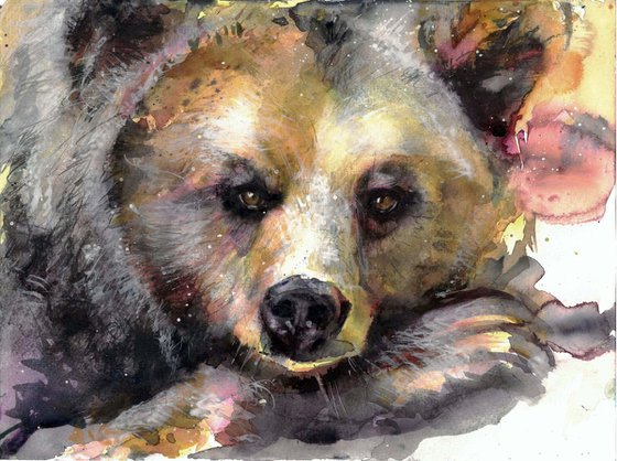 Bear