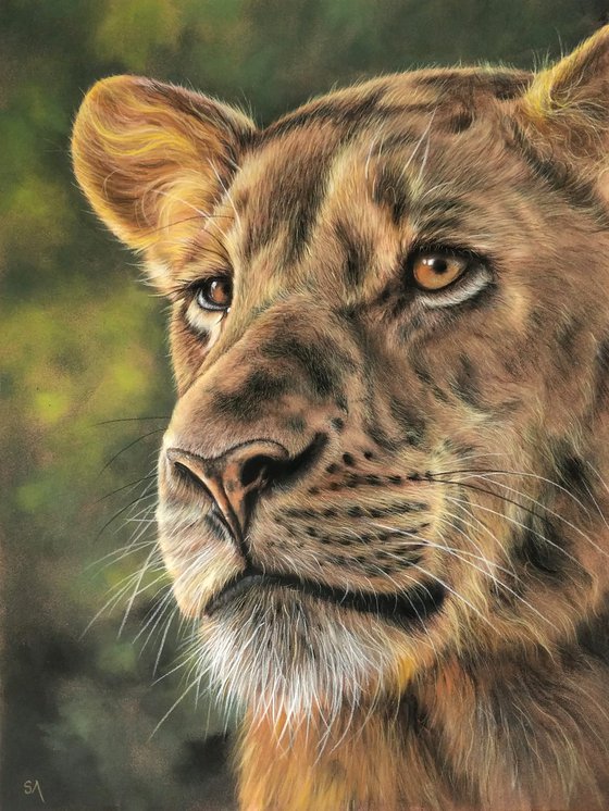 Lioness Portrait (Original Painting)