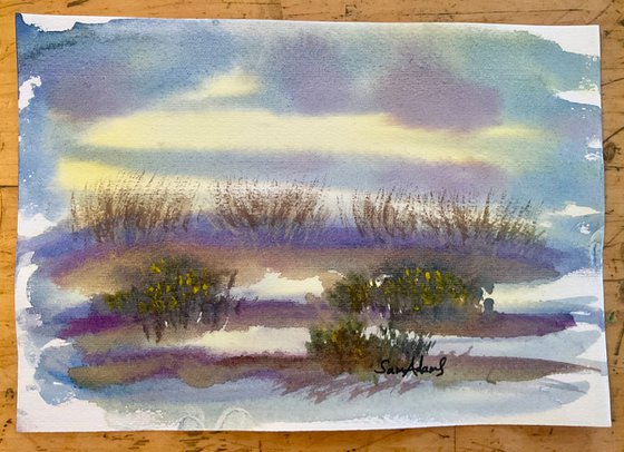 In the dunes at Studland, Dorset