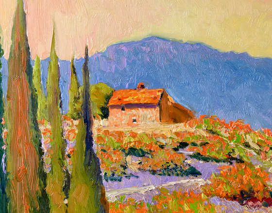 Through the Orange Grove