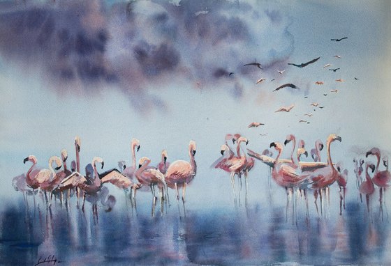 Flamingos