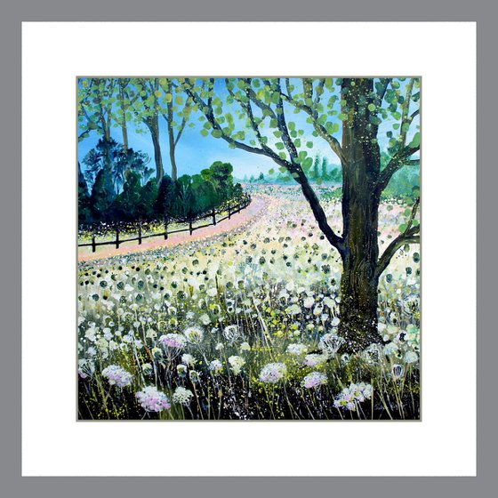 Field of Cow Parlsey