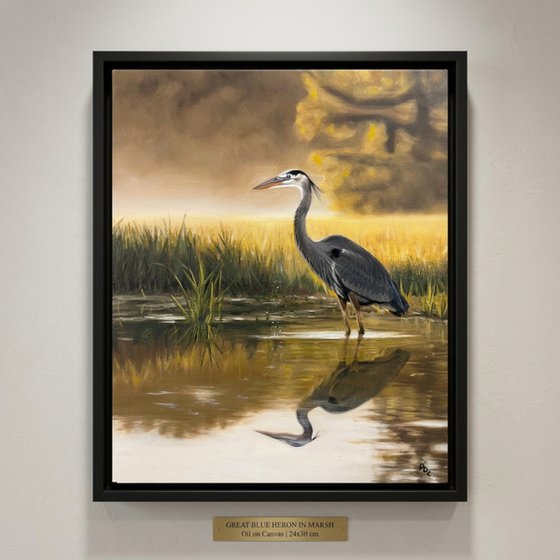 Great Blue Heron on Marsh