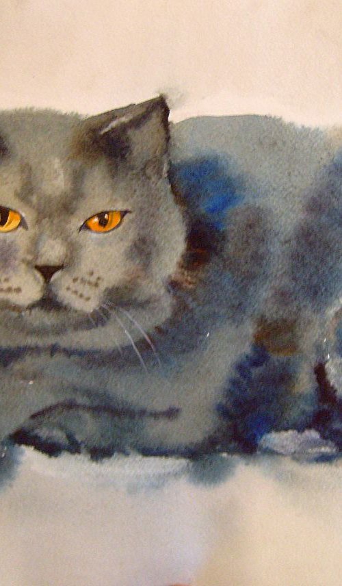 Gray Cat, watercolor painting 30x42 cm, gift art idea! by Valentina Kachina