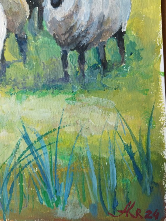 Landscape with sheep