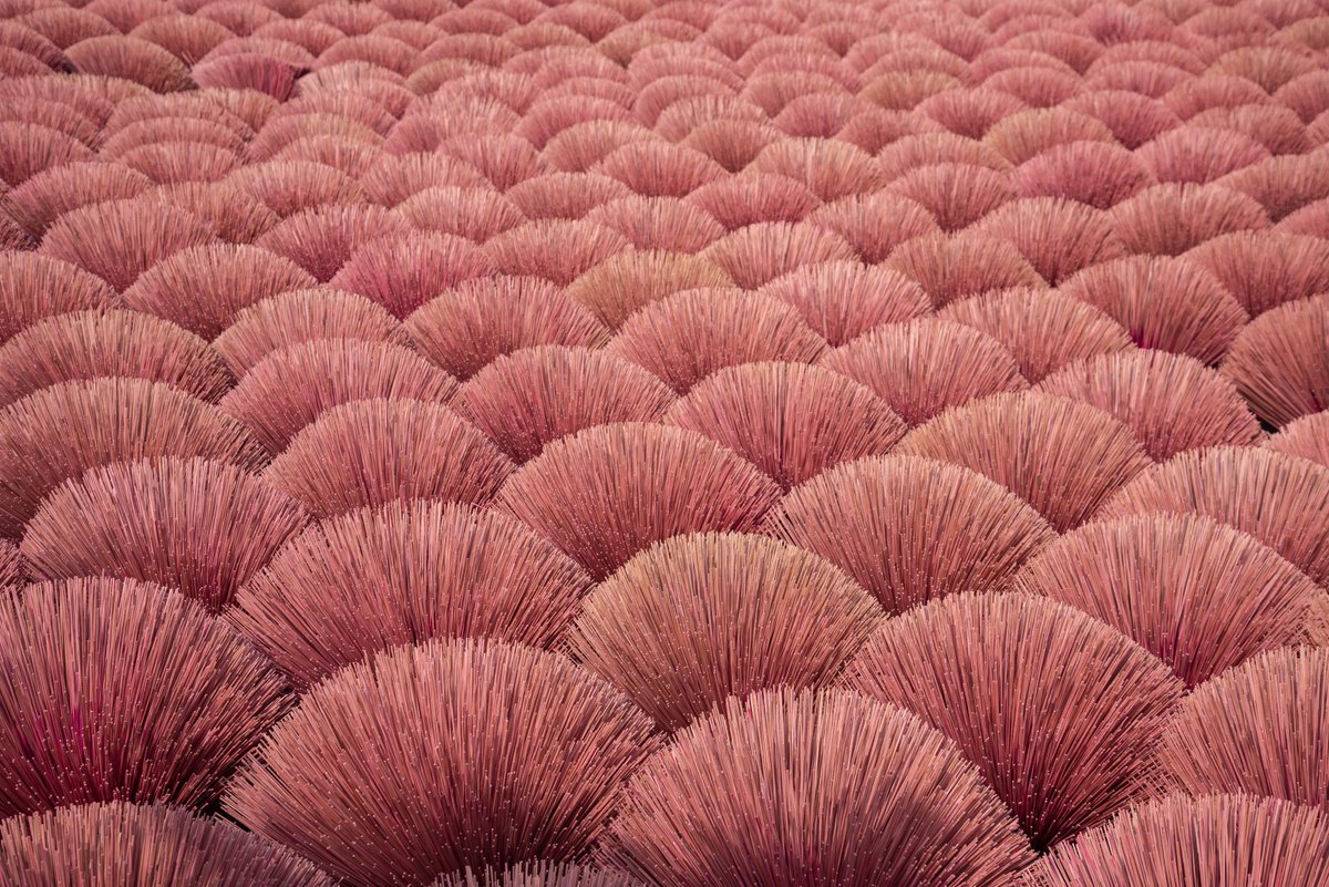 Geometric Abstract Photograph By Serge Horta, 40 X 27", Incense Sticks No.1 (S), Original Artwork