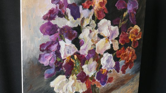 Velvet Iris Symphony