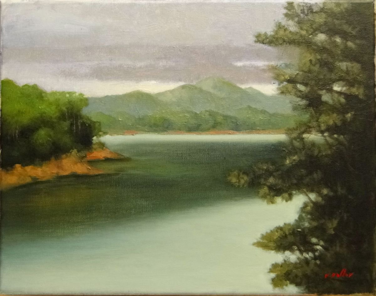 Lake Blue Ridge From The Dam by Rick Paller