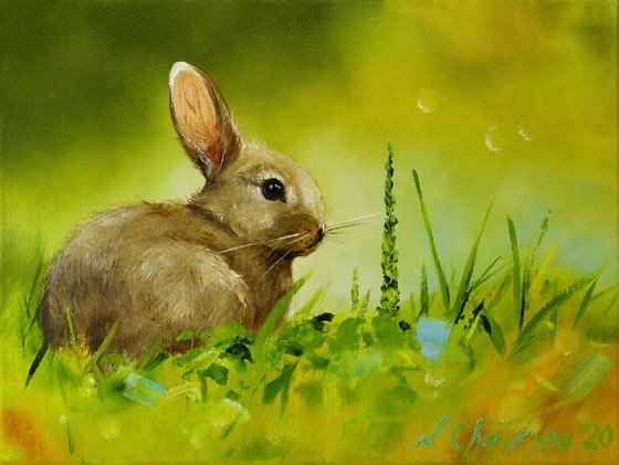 Rabbit