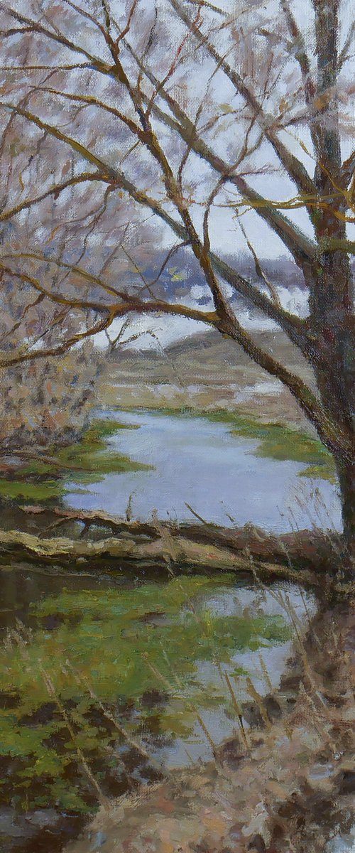 The Old Willow - spring river landscape by Nikolay Dmitriev