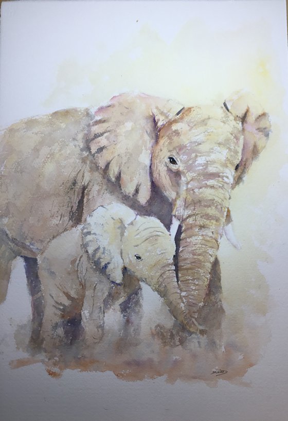 Elephants walking in the dust