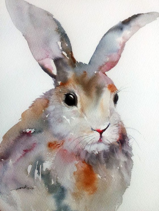 Gray Hare