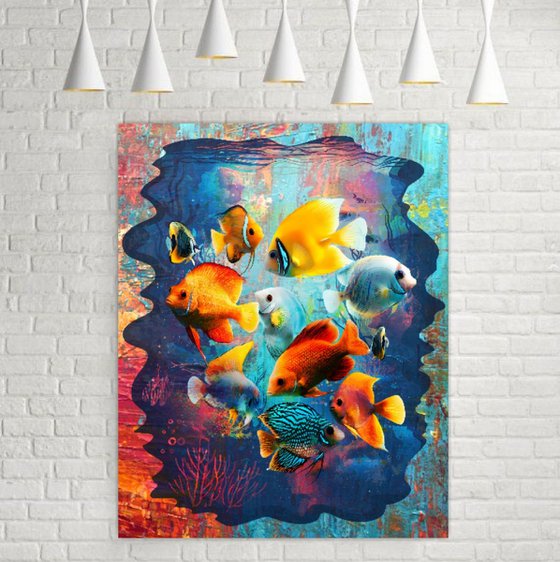 Red Sea Fishes