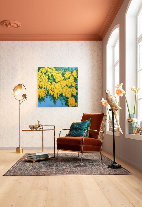 Mimosas in Bloom