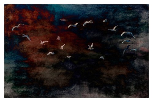 Flight, No.1 - 36 x 24"-  After Series by Brooke T Ryan