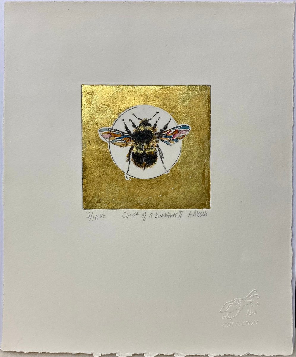 Ghost of a Bumblebee II by Anna Alcock