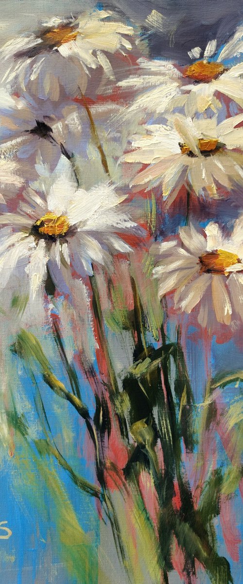 Garden daisies from my friends by Irina Sergeyeva