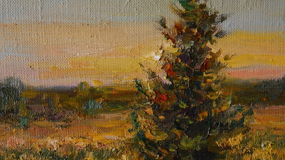 At sunset - sunny landscape painting