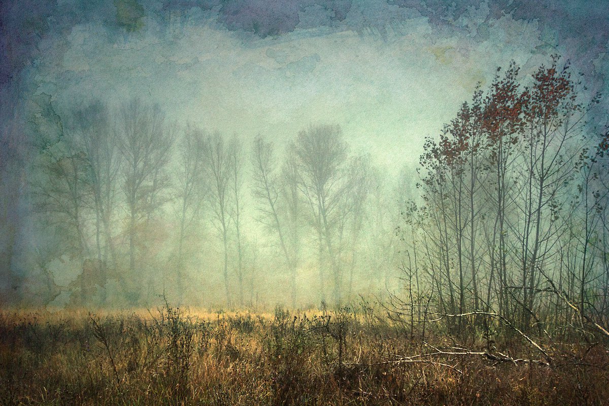 Foggy pathway. by Valerix