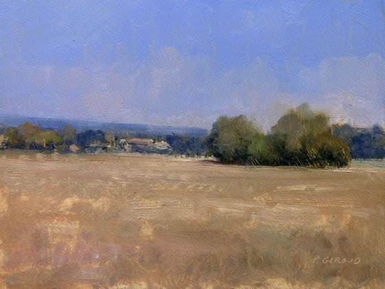 Autumn Field in Provence