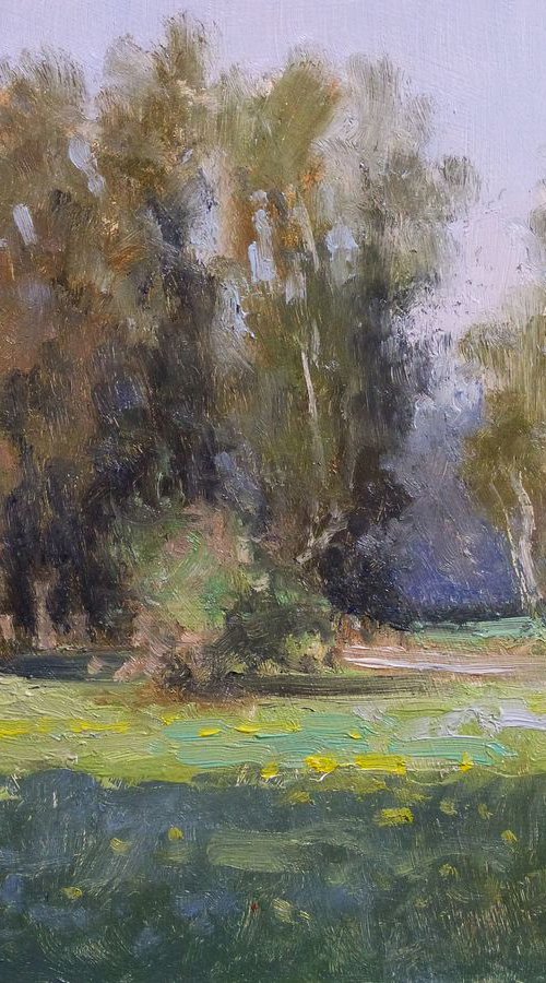 Glade near the Sasse by Pascal Giroud