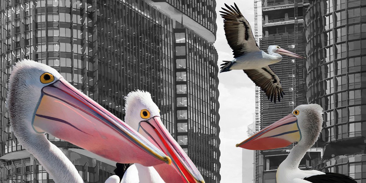 Urban And Pop Animal Giclee Print By Uwe Fehrmann, 47 X 24", Pelicans In The City, Original Artwork