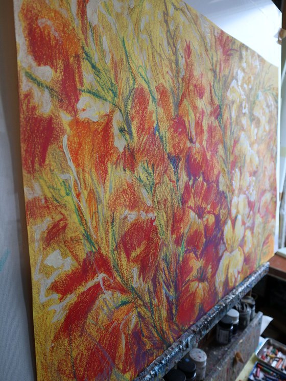 Gladiolus 2