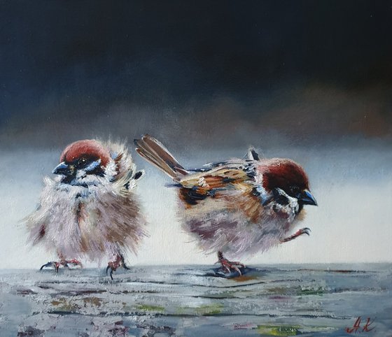 "What a wind! " sparrow birds 2021