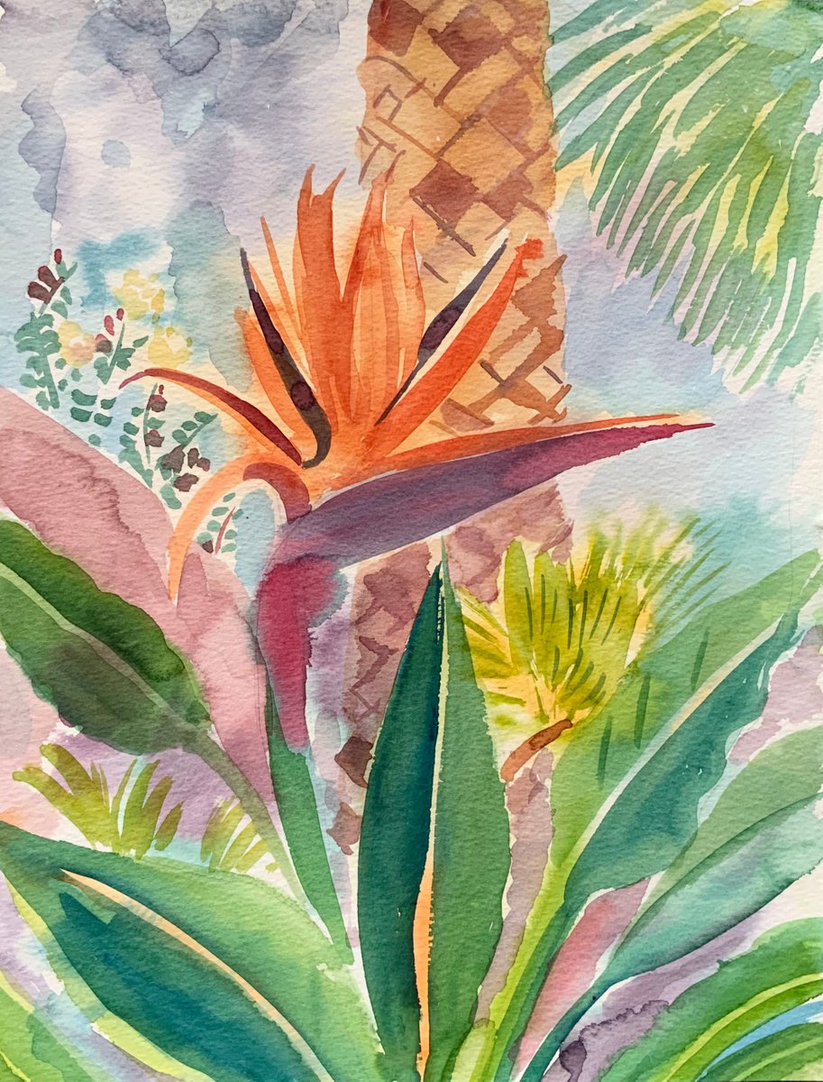Bird of paradise flowers by Mary Stubberfield