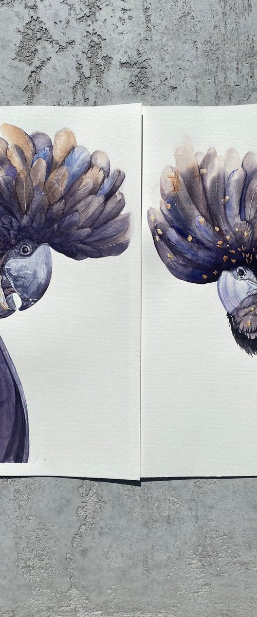 The Dark Crest Duo by Tetiana Savchenko