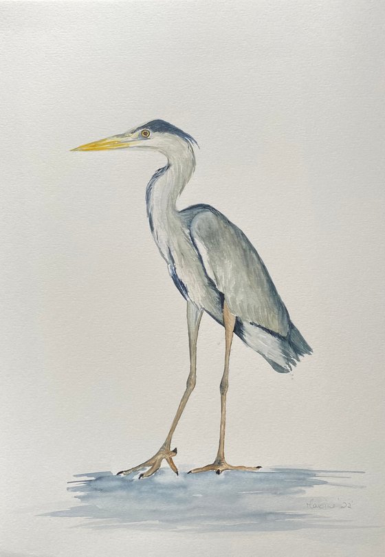 Heron