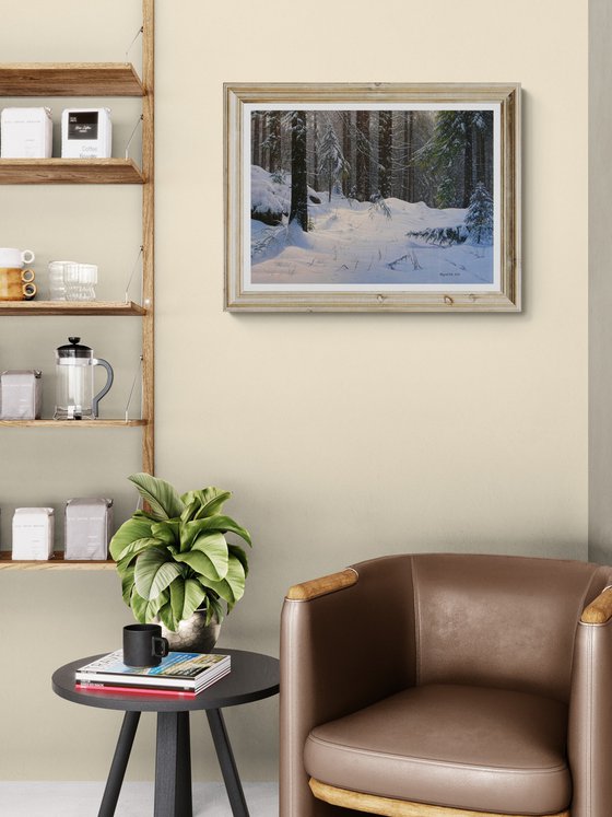 Winter in the spruce forest