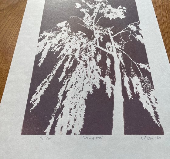 Birch Tree Linocut Print