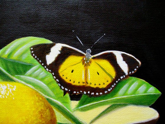 Lemons with butterflies