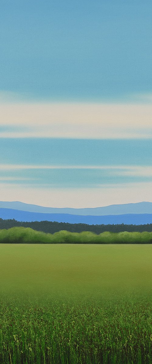 Summer Scene - Blue Sky by Suzanne Vaughan