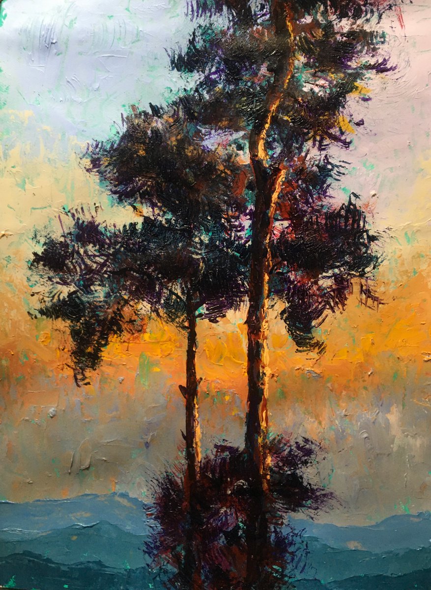 Pines by John Cottee