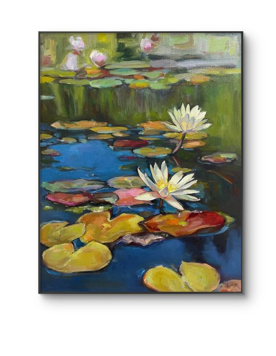 Water lilies
