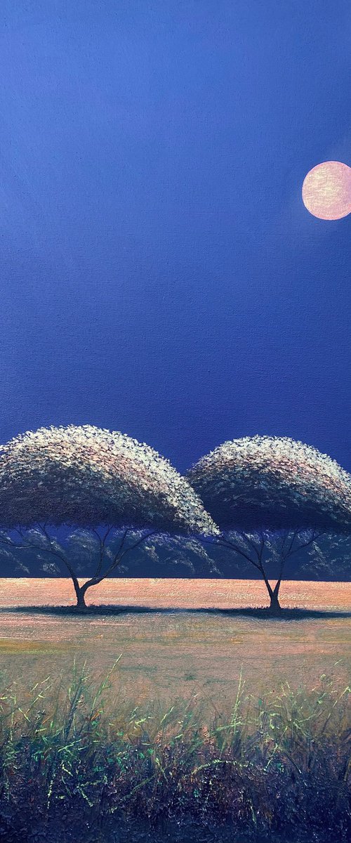 2 Trees Eternal Summer by Simon Jones