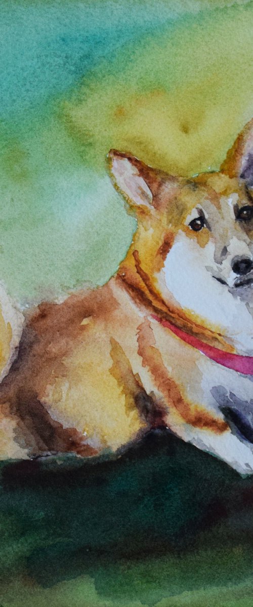Corgi watercolor painting, dog portrait, animalistic wall art by Kate Grishakova