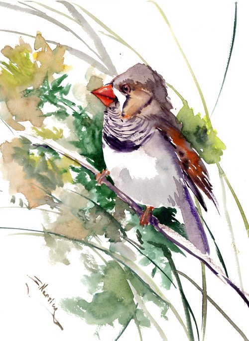 Zebra Finch and Flowers, Bird artwork by Suren Nersisyan