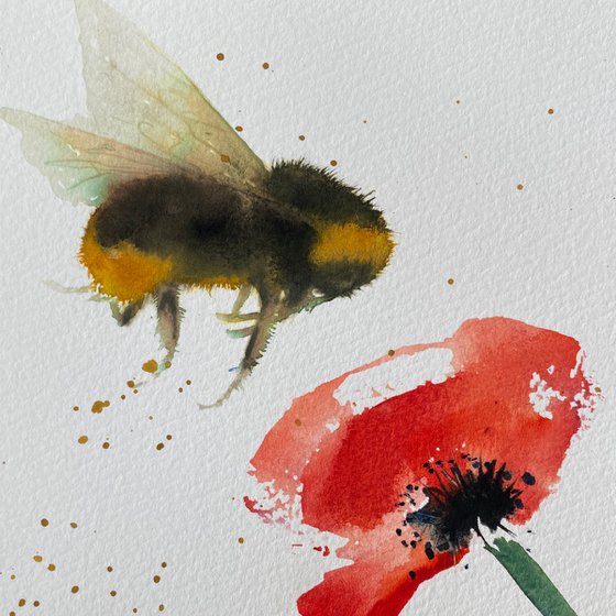 Bee visiting red poppy flower