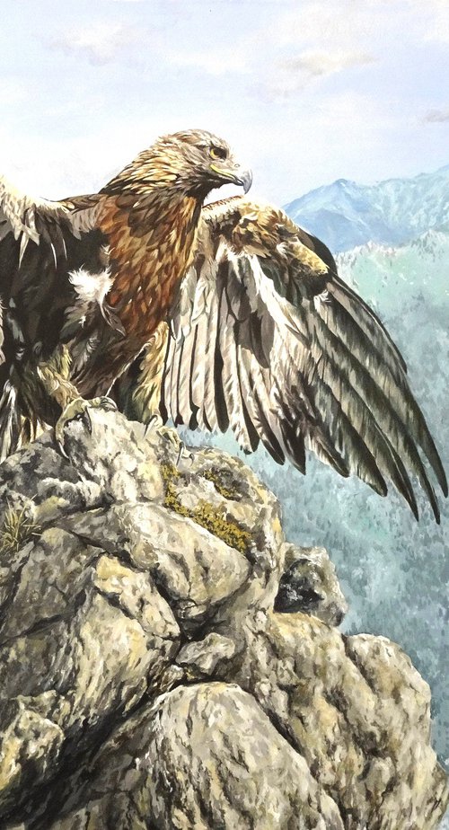 Royal Eagle by Julian Wheat